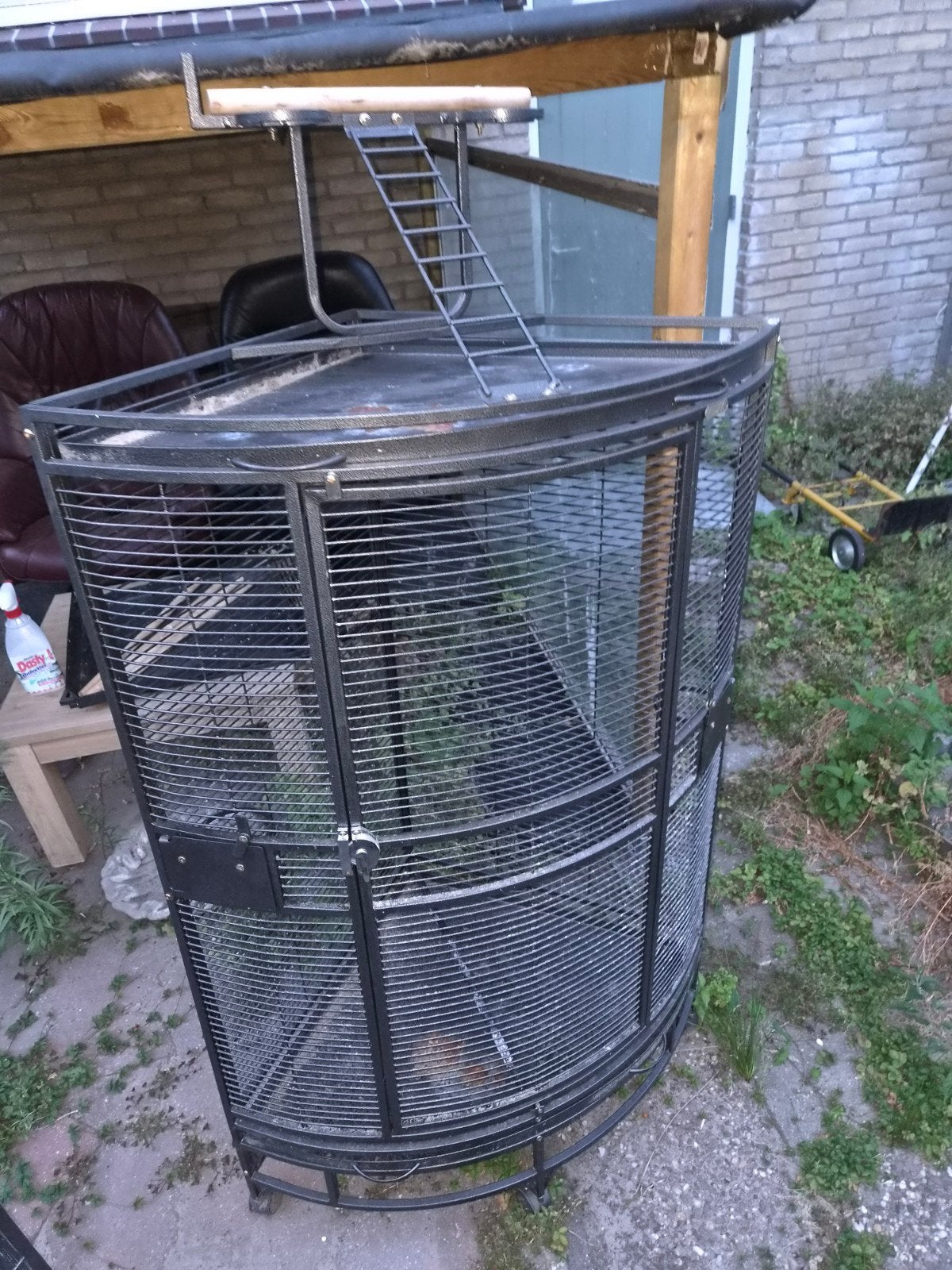 Papegaaien kooi op vogel  kooi, Ophalen