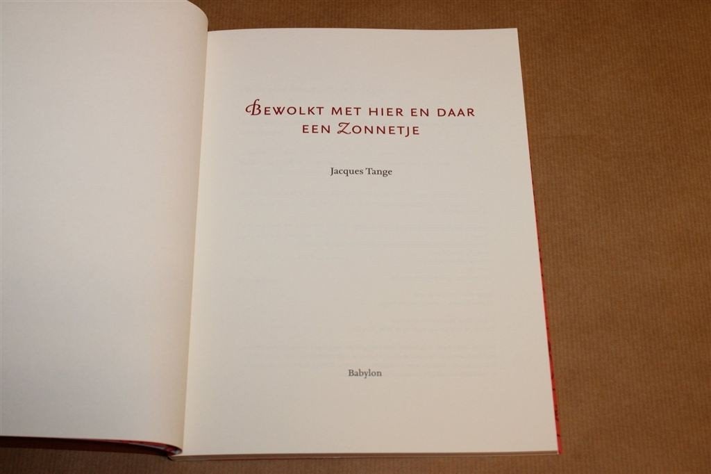 Bewolkt Hier en Daar een Zonnetje — Schilderijen & Gedichten, Boeken, Verzenden, Zo goed als nieuw