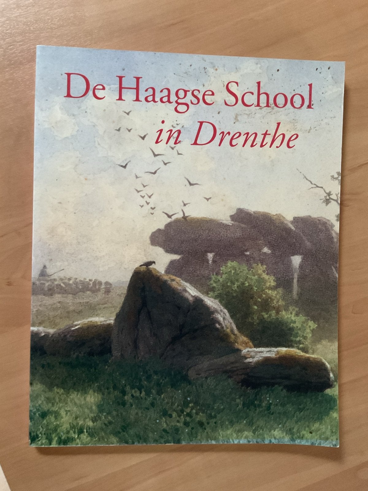 De Haagse School in Drenthe     Saskia de Bodt  (1997 ), Boeken, Ophalen of Verzenden, Zo goed als nieuw