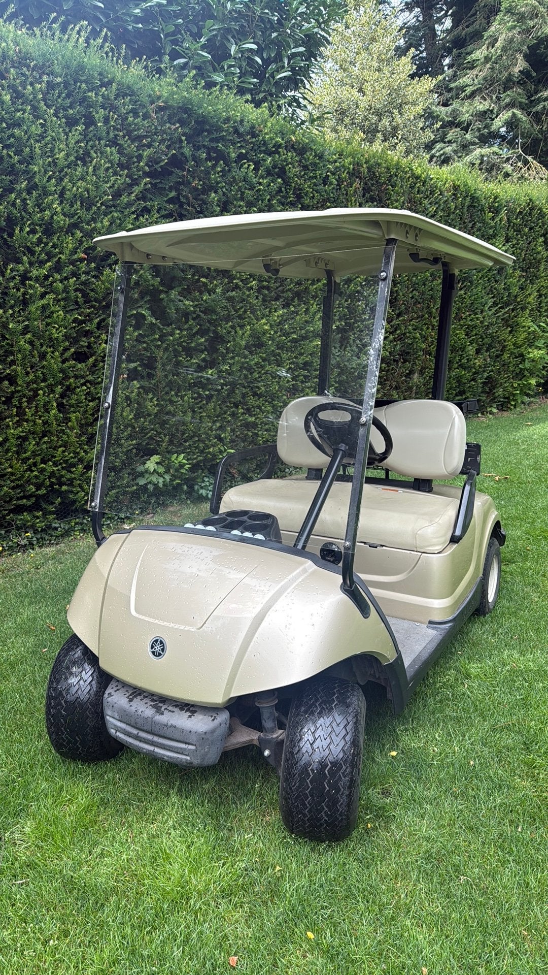 Golfcar op kenteken, Ophalen, Gebruikt, Golfkar, Overige merken