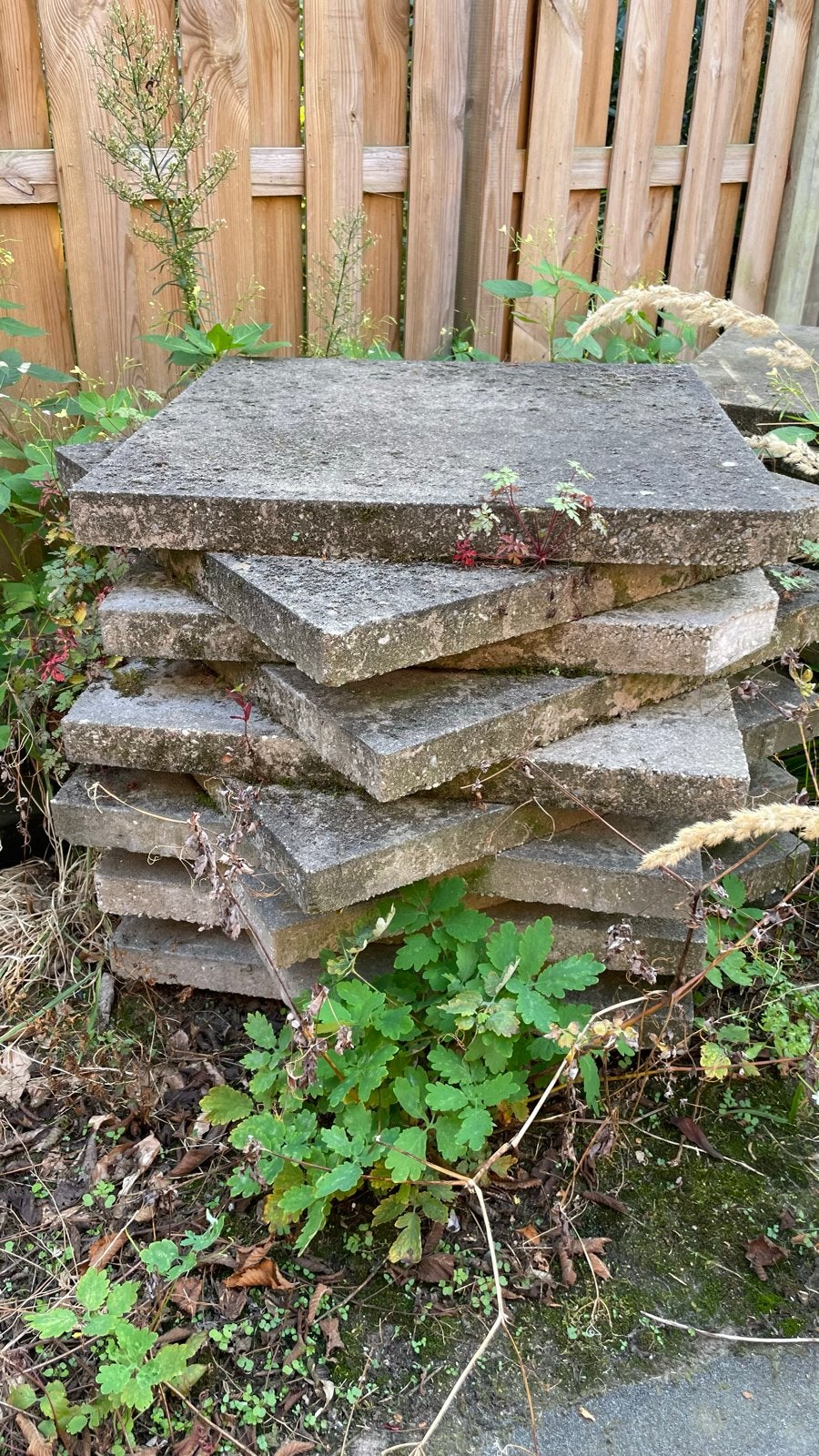 24 gebruikte terrastegels 60x60 cm, Tuin en Terras, Gebruikt, Ophalen of Verzenden, 10 m² of meer, Beton
