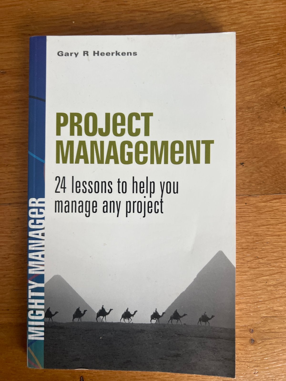 Project Management: 24 lessen om elk project te beheren, Boeken, Ophalen of Verzenden, Zo goed als nieuw, Management