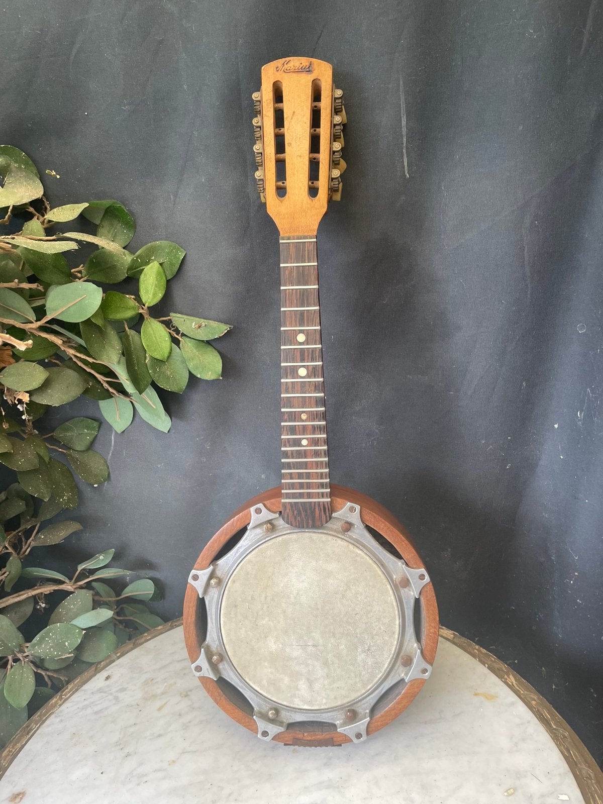 Banjo / mandoline, Muziek en Instrumenten, Snaarinstrumenten | Banjo's, Gebruikt, Mandolinebanjo, Ophalen of Verzenden, Marius