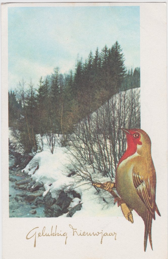 ROODBORSTJE KERST UIT 1974 ZEER MOOIE OUDE KAART KN794, Ophalen of Verzenden, 1960 tot 1980, Gelopen, Overige thema's
