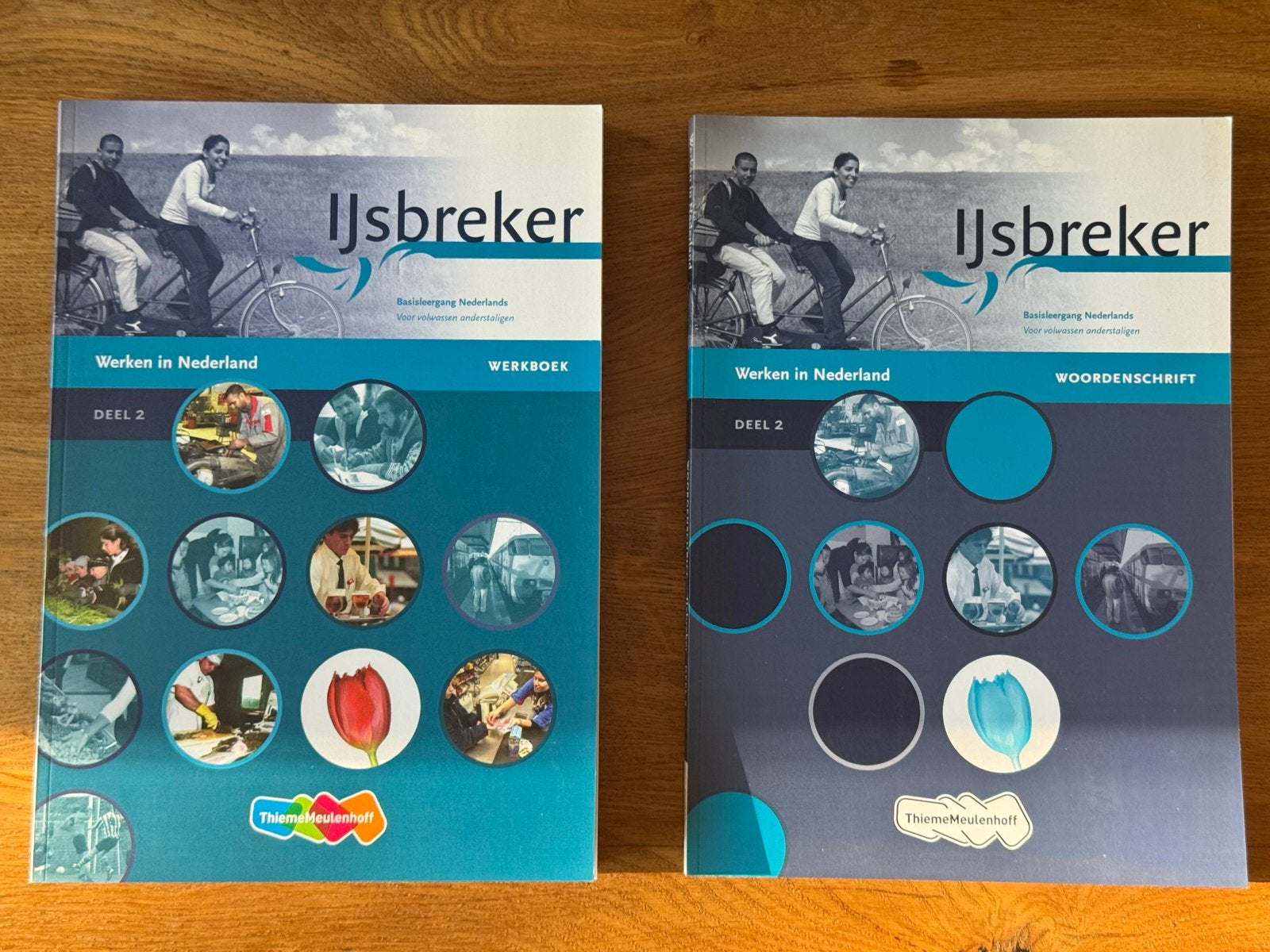 IJsbreker Werken in Nederland Deel 2 Werkboek & Woordenschri, Boeken, Schoolboeken, Ophalen of Verzenden, Gelezen, Overige niveaus