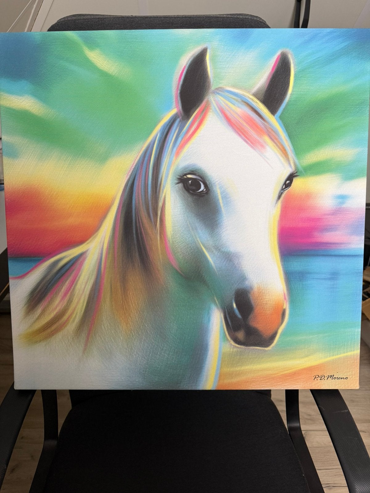Canvas (schilderij) muurdecoratie paard, Ophalen, Zo goed als nieuw, Meerkleurig