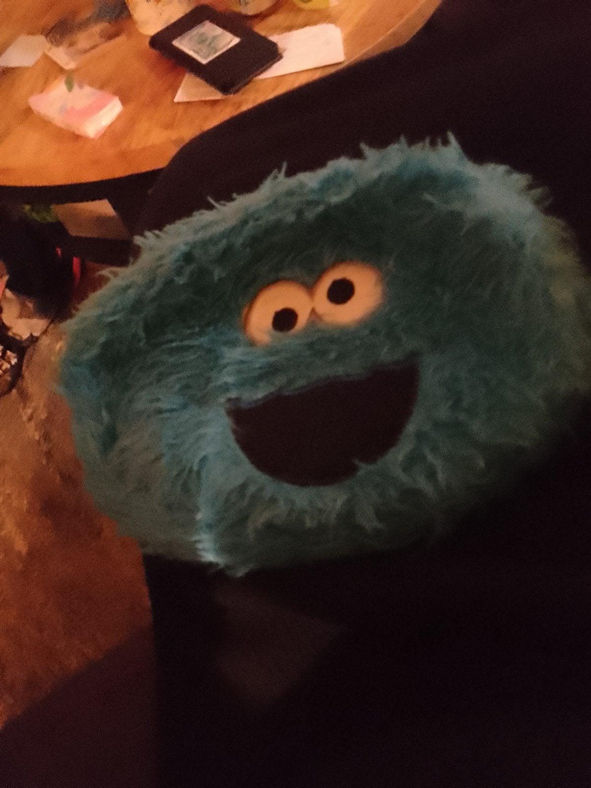 Koekie monster etui te koop, Kinderen en Baby's, Speelgoed | Knuffels en Pluche, Ophalen, Gebruikt, Overige merken, Overige karakters