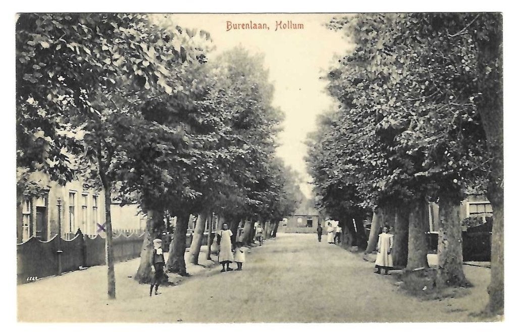 Ameland Hollum - Burenlaan met volk, Verzenden, Voor 1920, Gelopen, Waddeneilanden