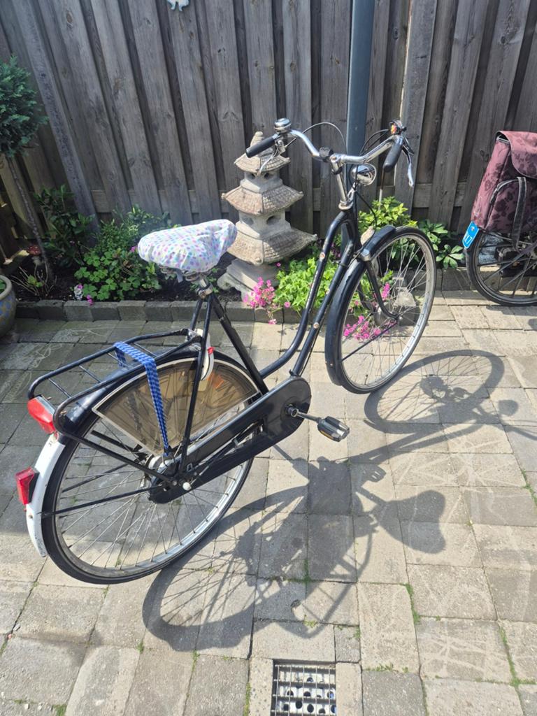 Oma fiets ook ideaal voor mannen lekkere lage opstap, Ophalen, Zo goed als nieuw