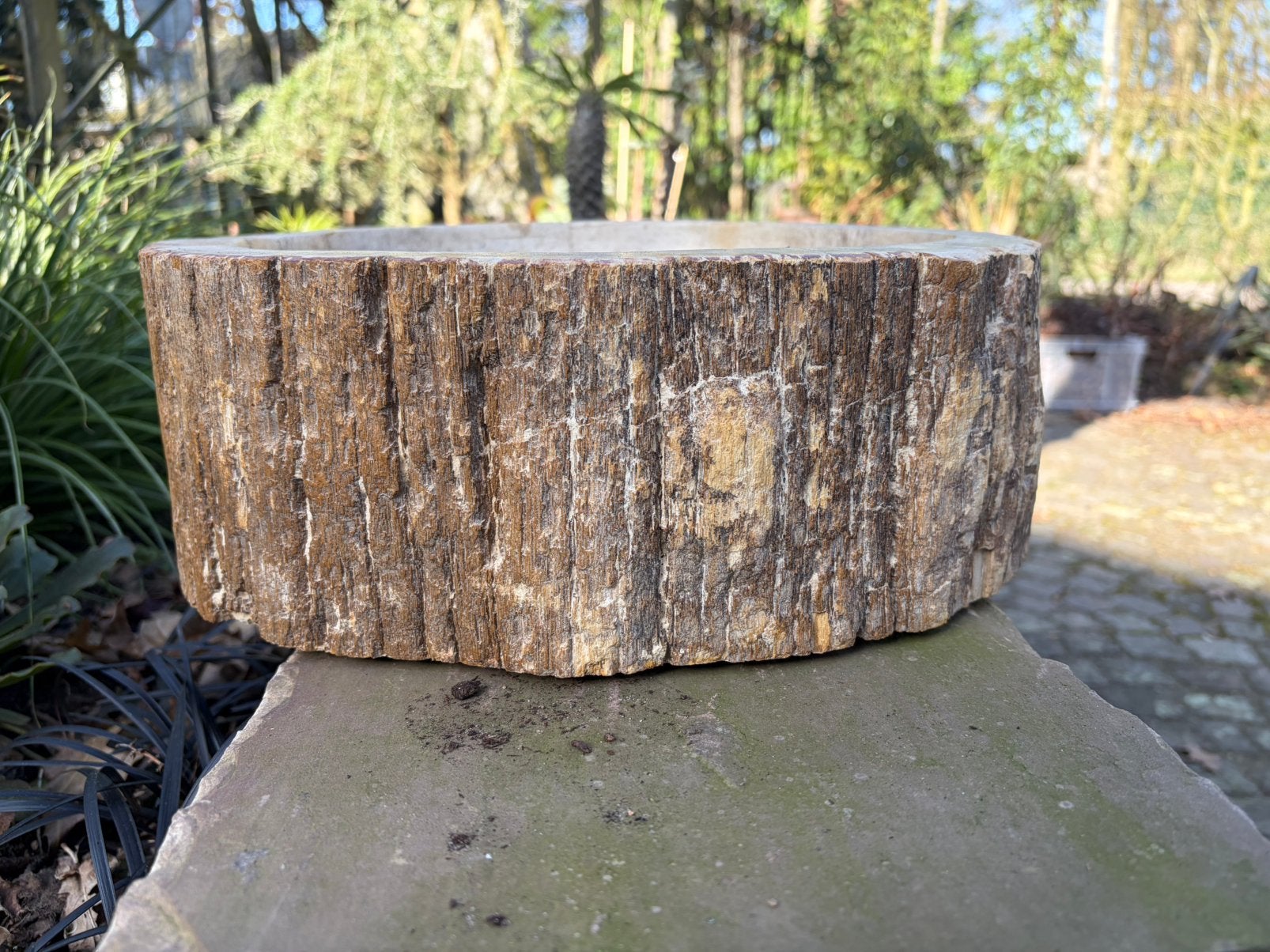 Versteend houten schaal,bak,kom. Fossiel hout.petrified wood, Ophalen, Fossiel