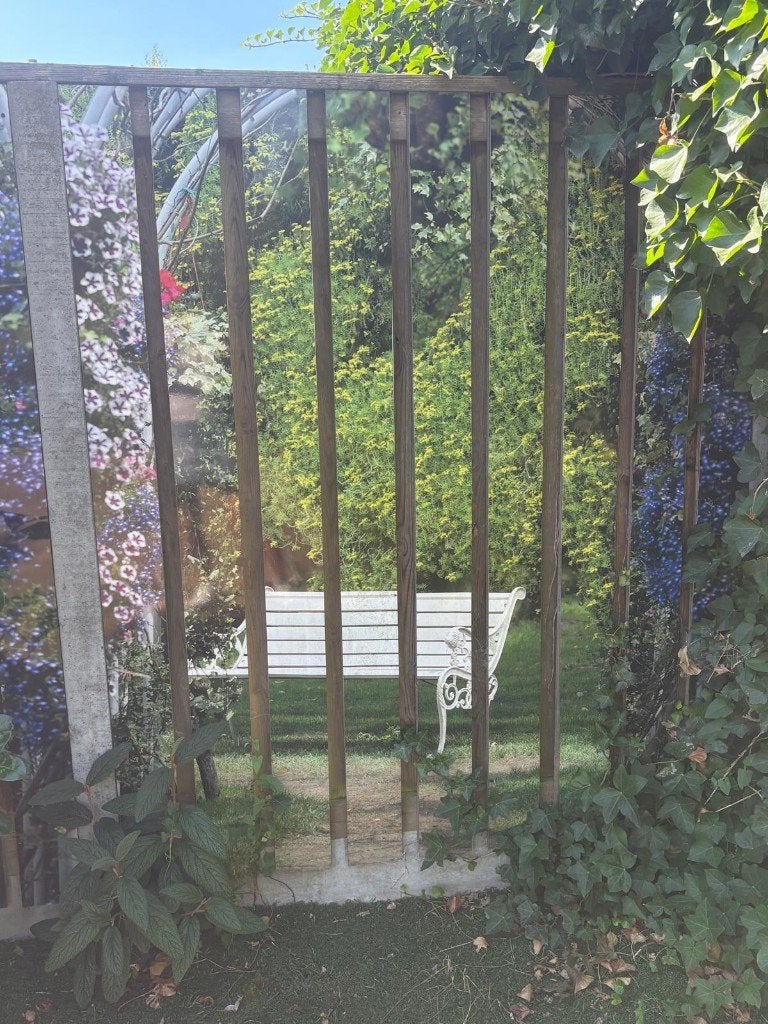 11 foto lamellen voor schutting 14x185 cm parkzicht, Ophalen of Verzenden, Nieuw