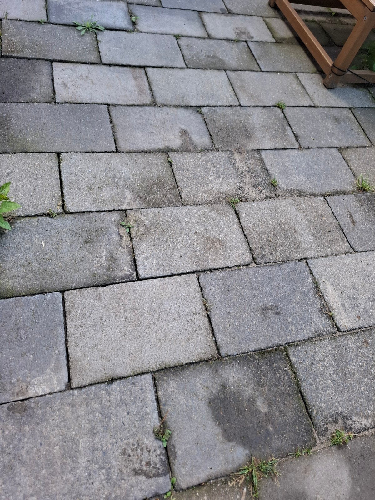 30x20 tegels. Ongeveer 10 m2, Ophalen, Gebruikt, Beton, Terrastegels