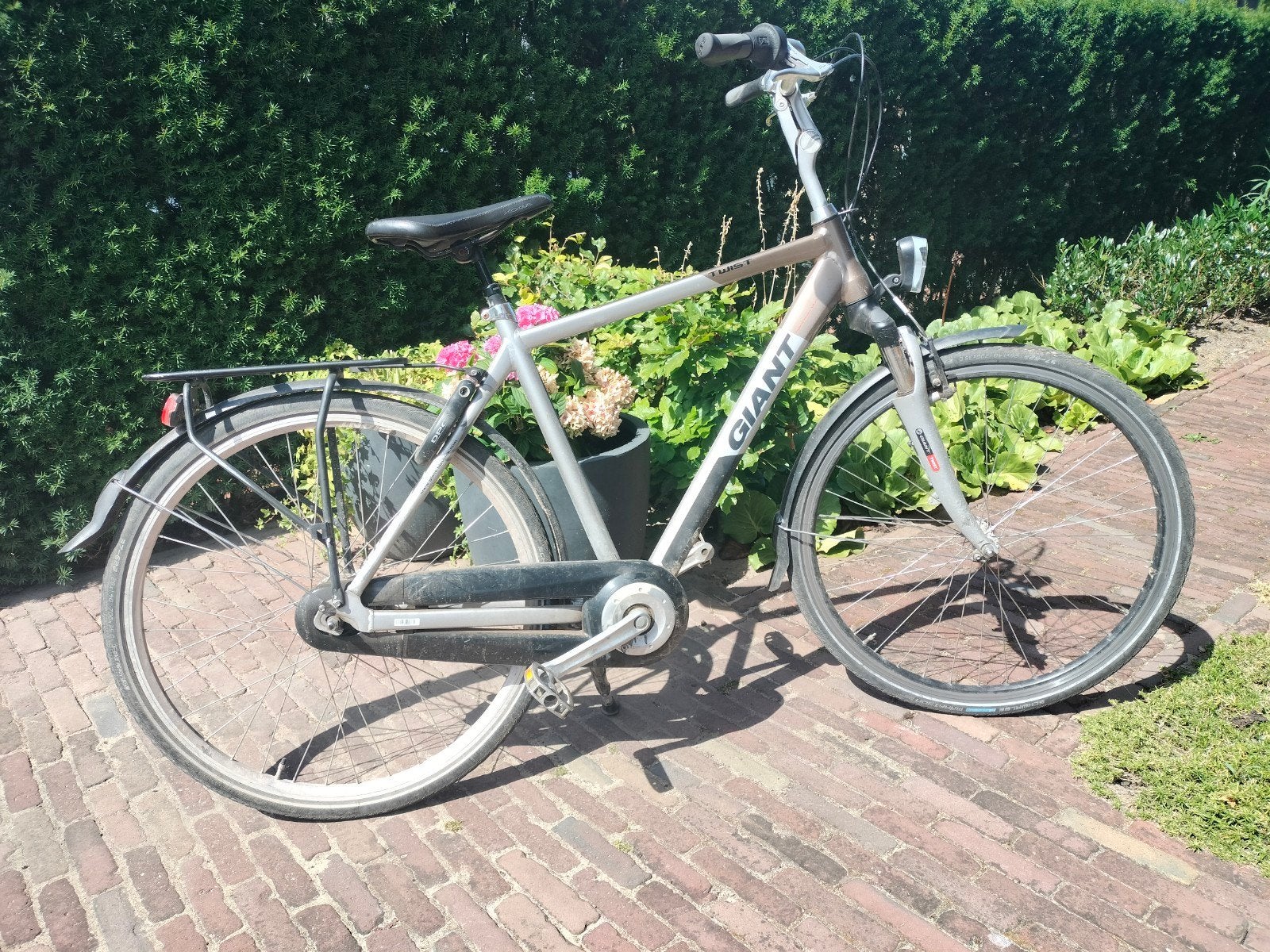 Giant Twist Go Double fiets, Fietsen en Brommers, Elektrische fietsen, Ophalen, Gebruikt