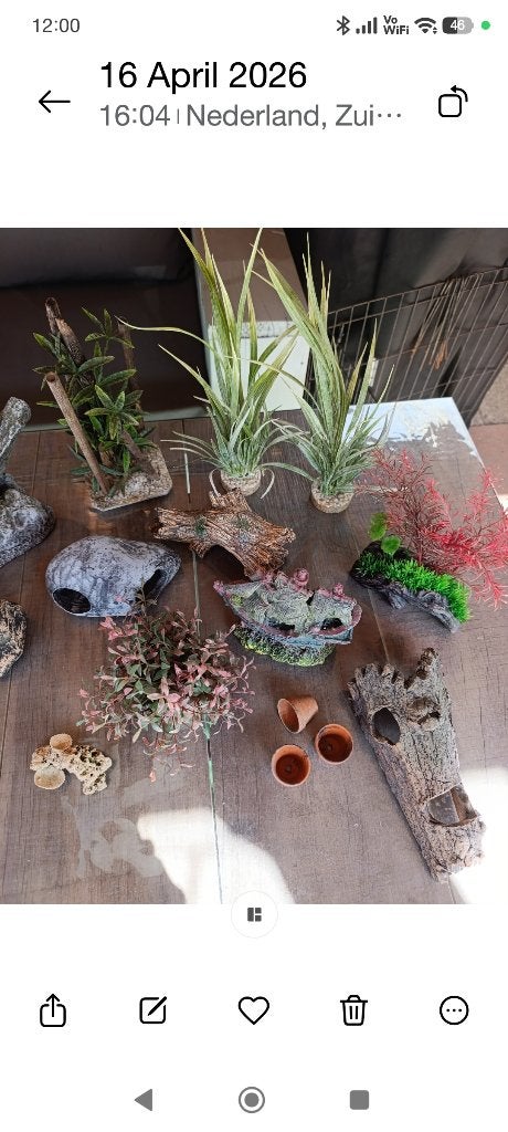 Aquarium deco, Ophalen of Verzenden, Gebruikt, Decoratie, Overige merken
