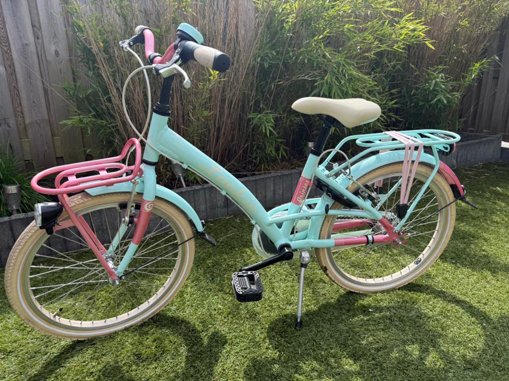 Fiets Loekie Prinses 20inch, Ophalen, Terugtraprem, Gebruikt, Handrem