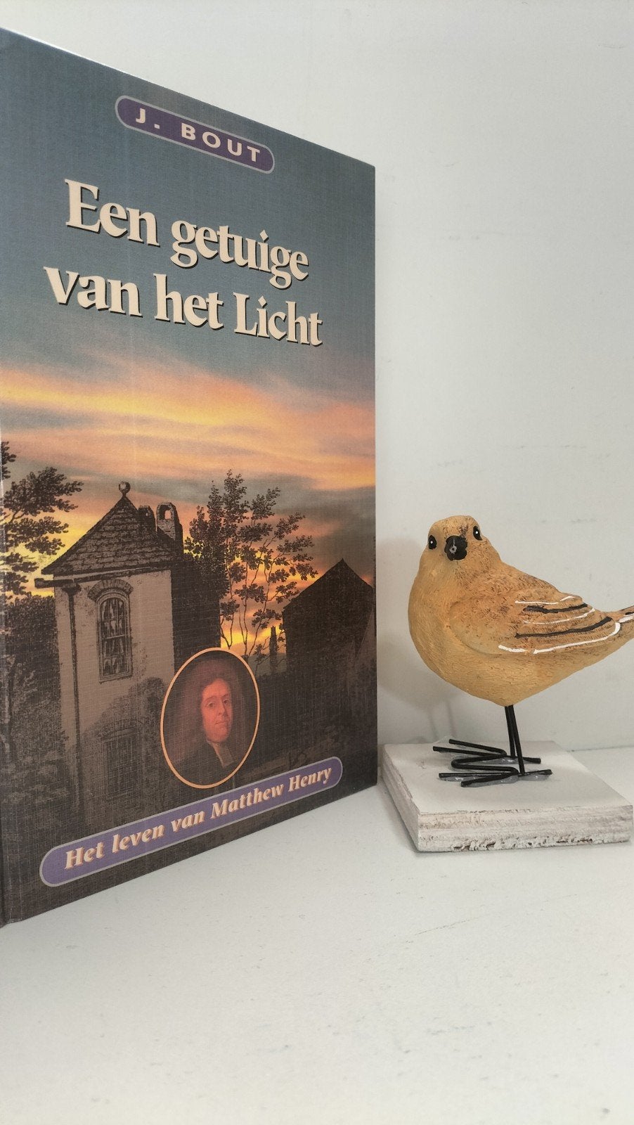 Bout, J.; Een getuige van het Licht (M. Henry), Boeken, Ophalen of Verzenden, Gelezen, Christendom | Protestants