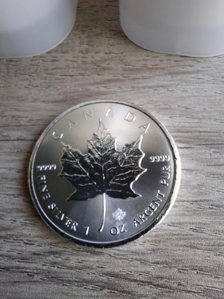 Opruiming: Maple Leaf 1 Oz Zilveren Munt (Tube van 25 stuks), Ophalen of Verzenden