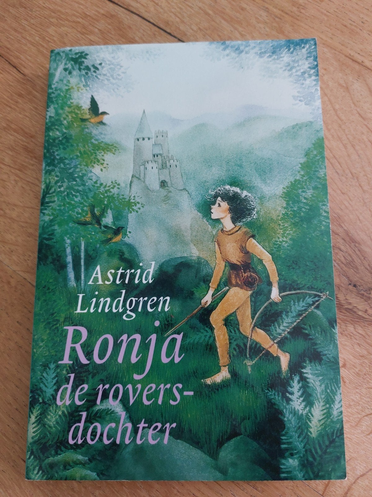 Ronja de roversdochter - Astrid Lindgren, Boeken, Ophalen of Verzenden, Gelezen, Astrid Lindgren, Fictie algemeen