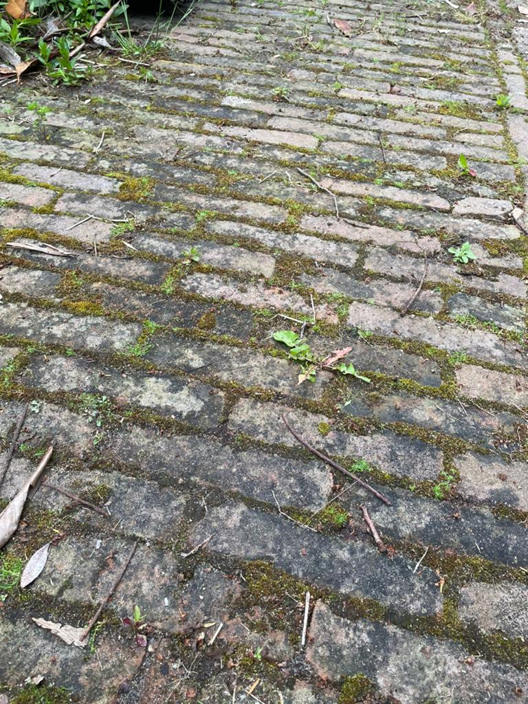 Tegels 20x10x5 (3 m2), Ophalen, Gebruikt, Beton, Terrastegels