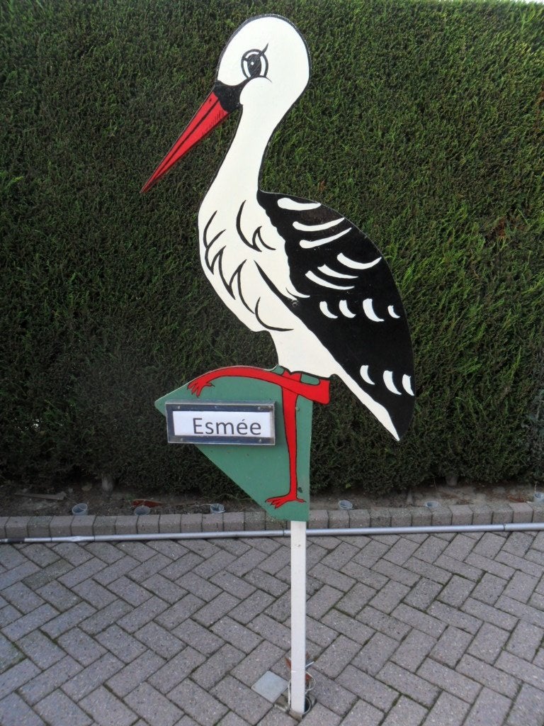 Geboorteborden / geboorte ooievaar zie keuze de goedkoopste., Ophalen, Nieuw, Geboortebord