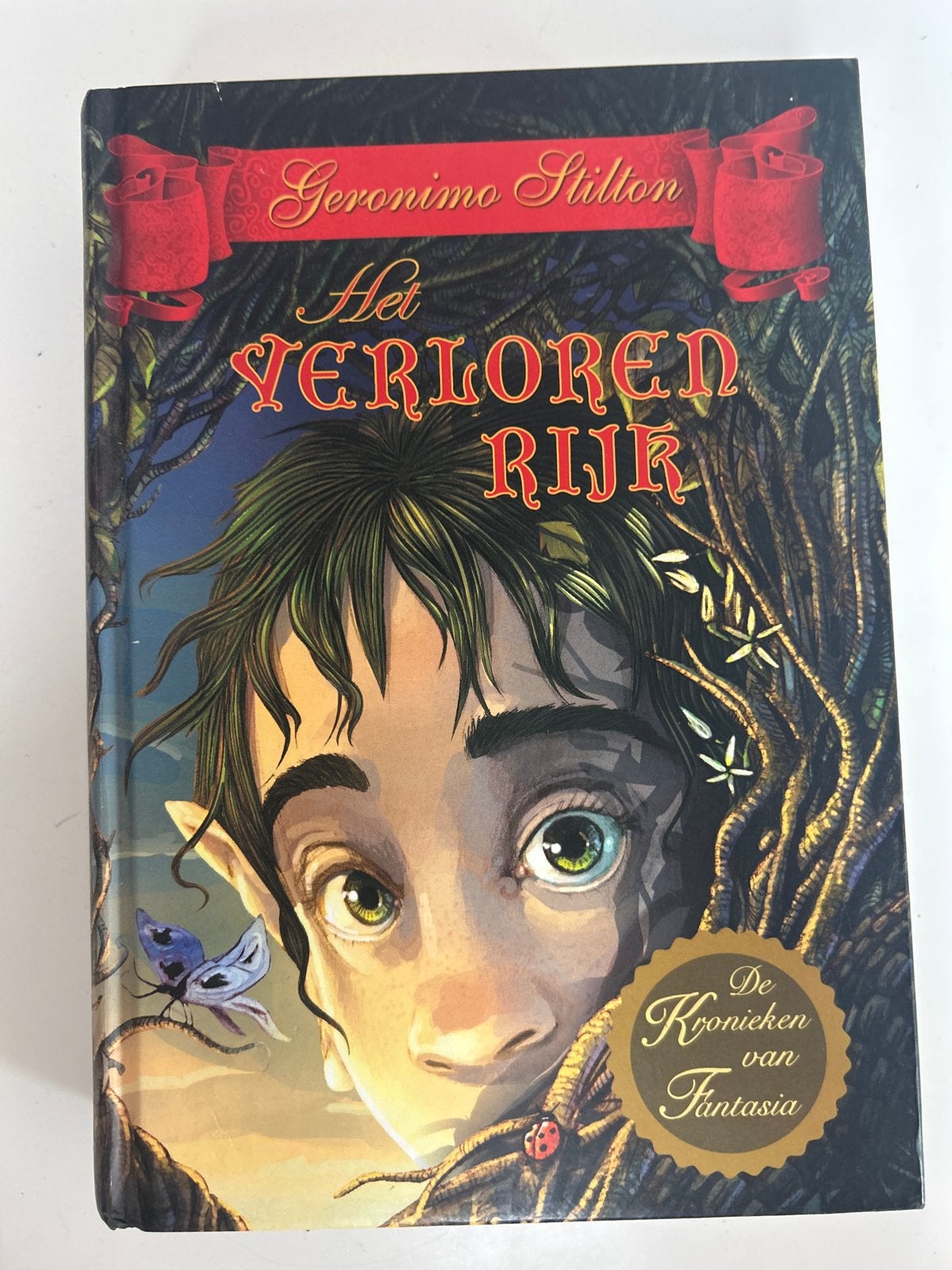Geronimo Stilton: Het Verloren Rijk - De Kronieken van Fanta, Ophalen, Gelezen