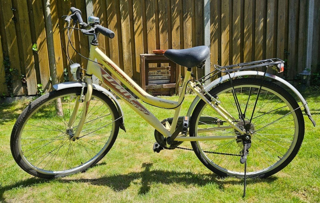 Kinderfiets of Klein Damefietsen, Versnellingen, Zo goed als nieuw, Minder dan 47 cm, Ophalen