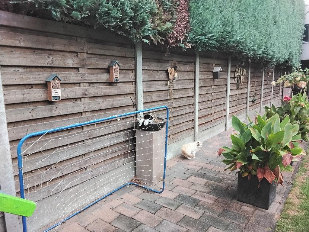 Schutting, Ophalen, 6 meter of meer, Hout, 1 tot 2 meter