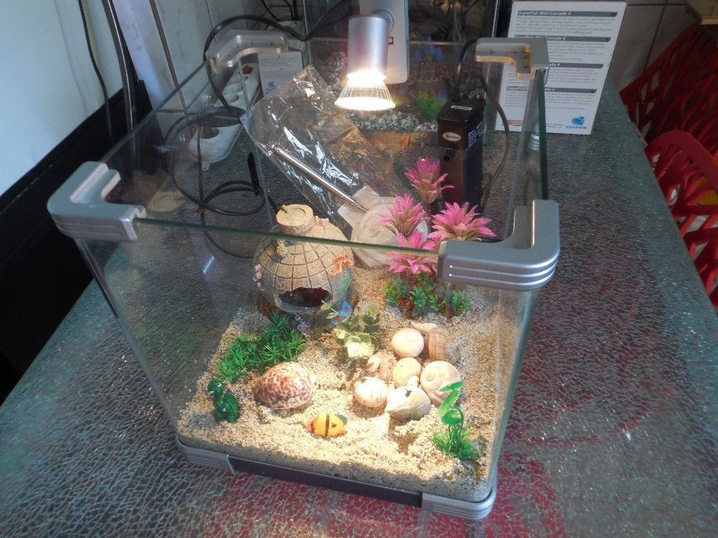 compleet kubus aquarium 30 x 30 x 30 cm inhoud ca 30 liter, Ophalen, Gebruikt, Inclusief toebehoren, Leeg aquarium
