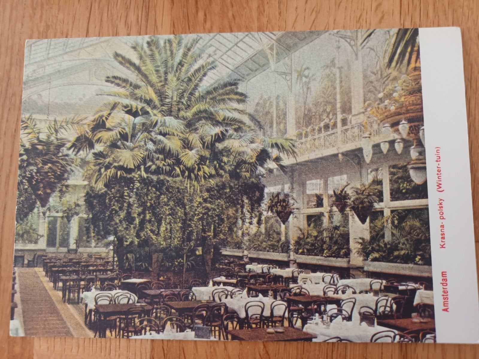 Krasna-polsky wintertuin 1900, uitgave 1975 700 jaar Amsterd, Verzamelen, Ansichtkaarten | Nederland, Ophalen of Verzenden, 1960 tot 1980