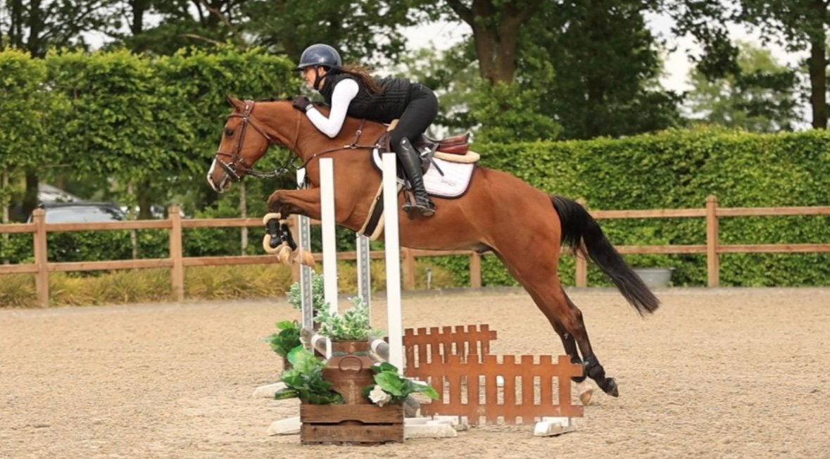 Super fijne top brave 3,5 jarige newforest/nrps kinderpony, Dieren en Toebehoren, Pony's, Ruin, Springpony, 3 tot 6 jaar, D pony (1.37m tot 1.48m)