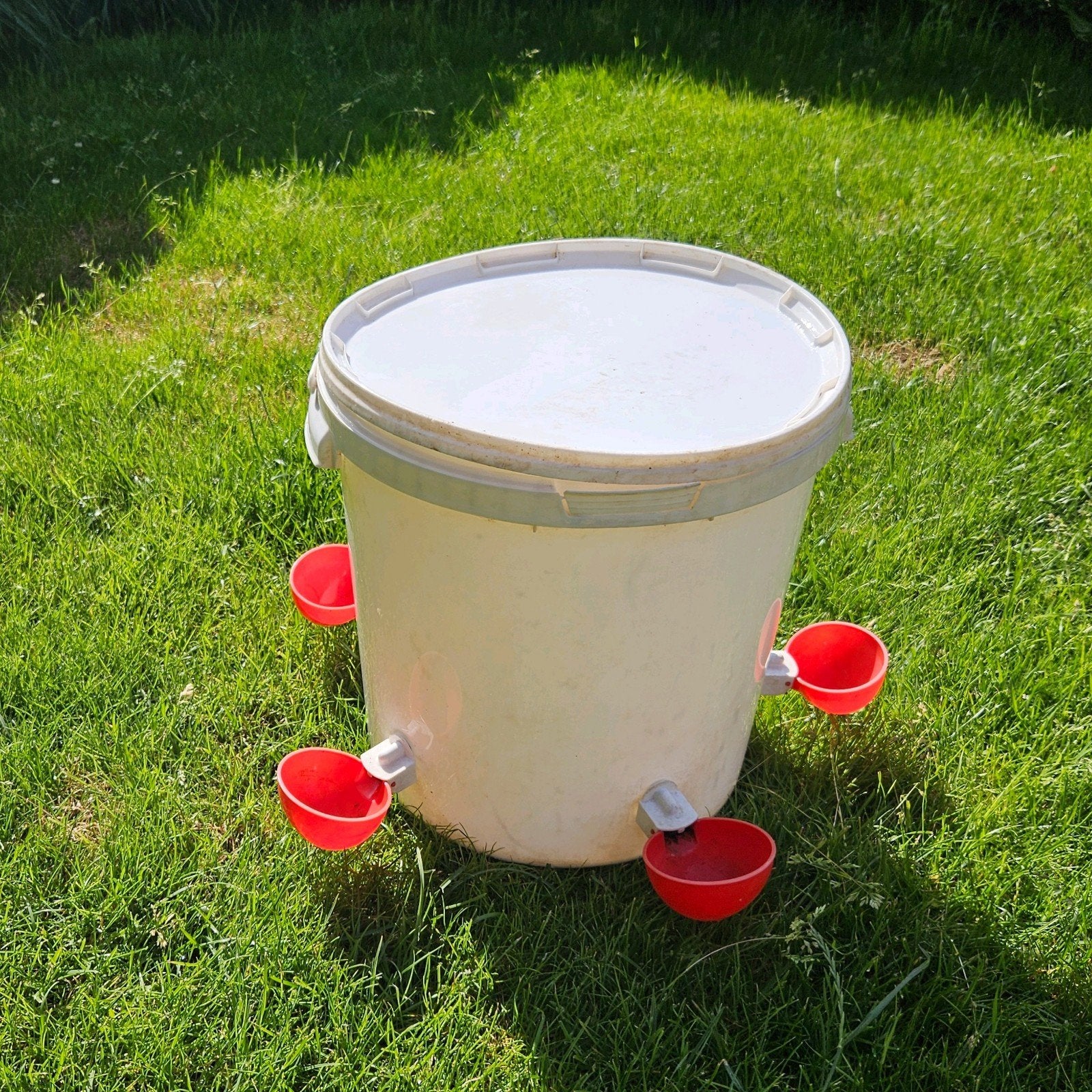 20 liter drinkbak voor kippen met 5 cupjes, Ophalen, Drinken en Voederen