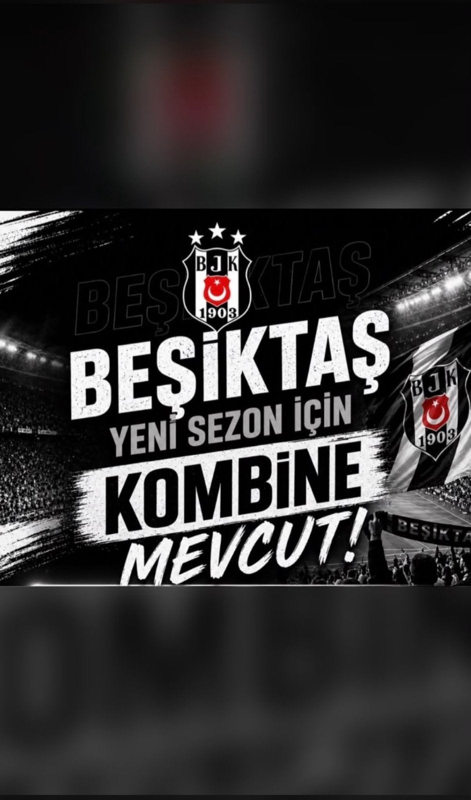 Beşiktaş yeni sezon kombine, Eén persoon