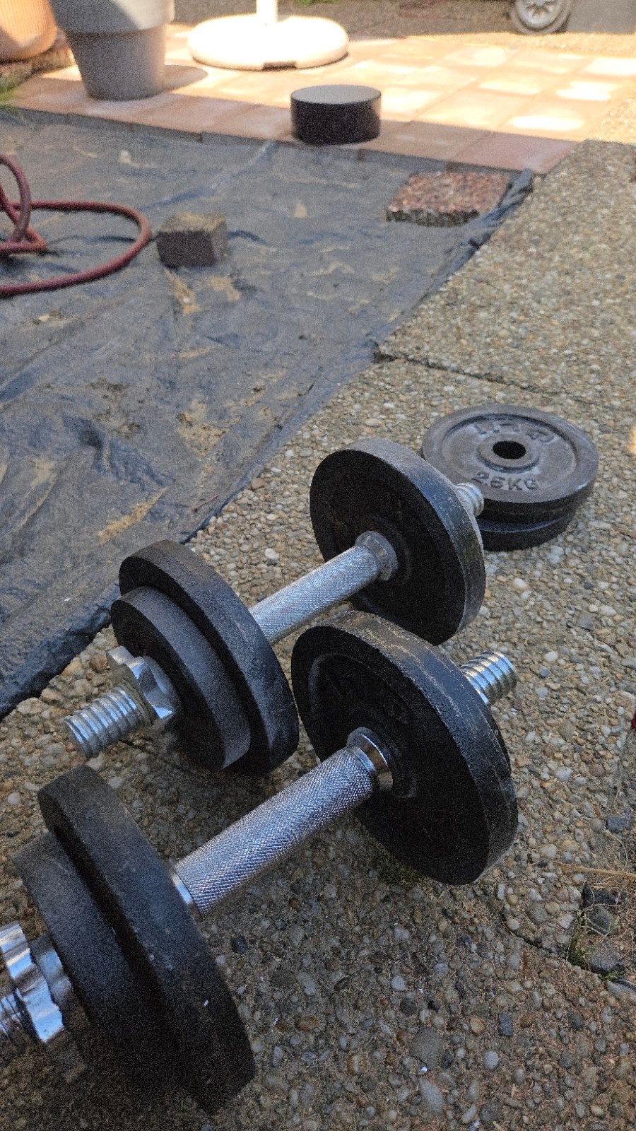 Dumbbells met gewichten - Ideaal voor thuistraining, Ophalen, Gebruikt, Rug, Dumbbell