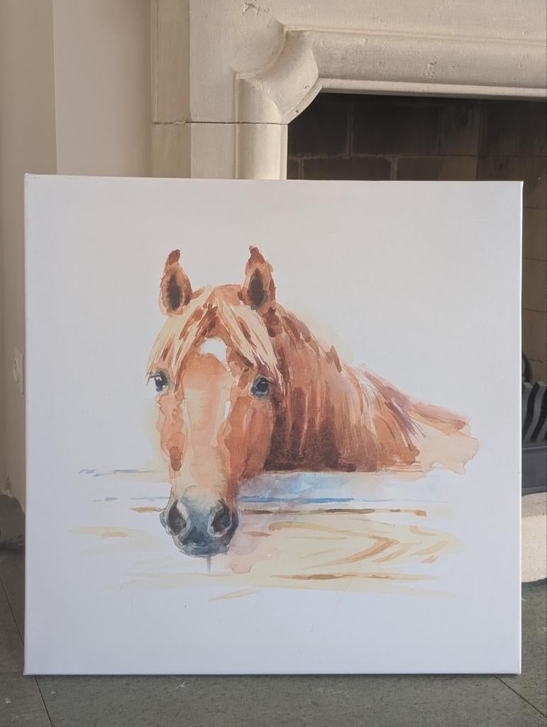 Canvas paard 70x70cm, Ophalen