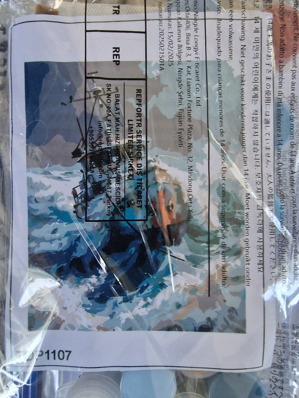 Schilderen op nummer set - Zeegezicht, Ophalen of Verzenden, Nieuw