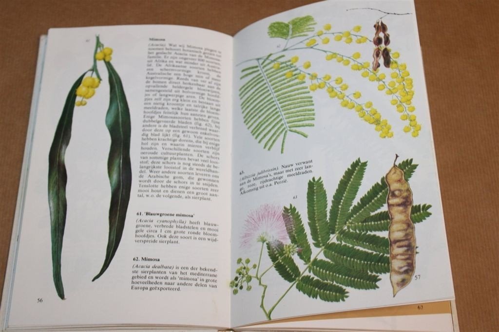 Bomen en Struiken langs de Middellandse Zee — Natuurgids, Ophalen of Verzenden, Gelezen, Bloemen, Planten en Bomen
