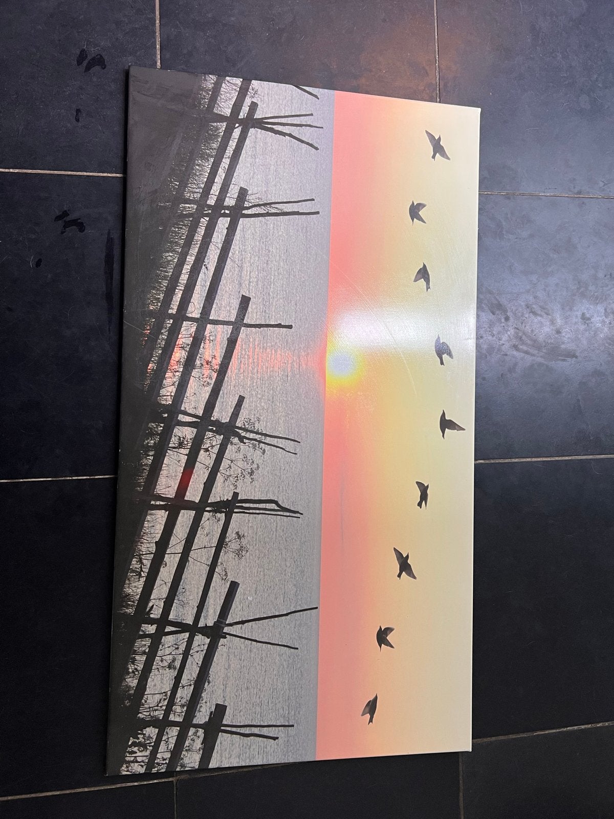 Mooi foto met zonsondergang en vogels, Ophalen, Zo goed als nieuw, Schilderij, 75 – 100