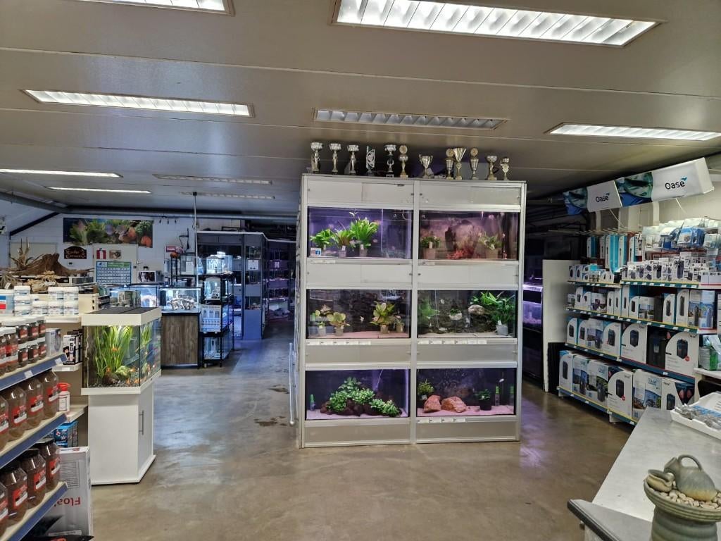 de Watermolen - Specialist in tropische vissen & aquariums, Dieren en Toebehoren, Vissen | Aquariumvissen, Vis, Zoetwatervis, Schoolvis