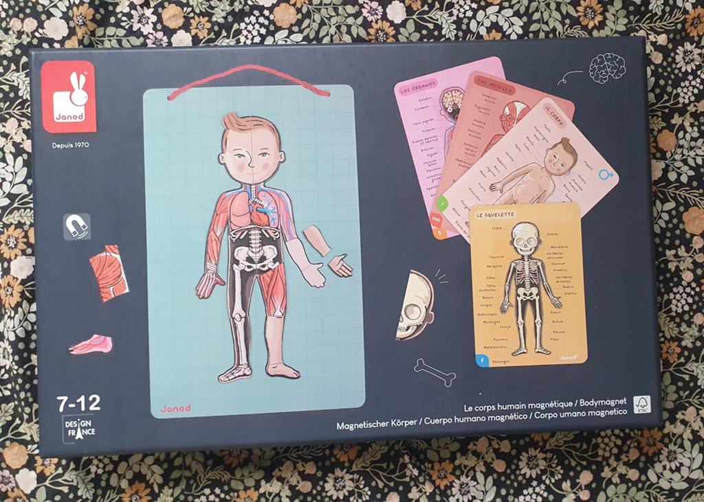 Janod Magnetisch spel Het Menselijk Lichaam, Ophalen of Verzenden, Zo goed als nieuw, Bouwen