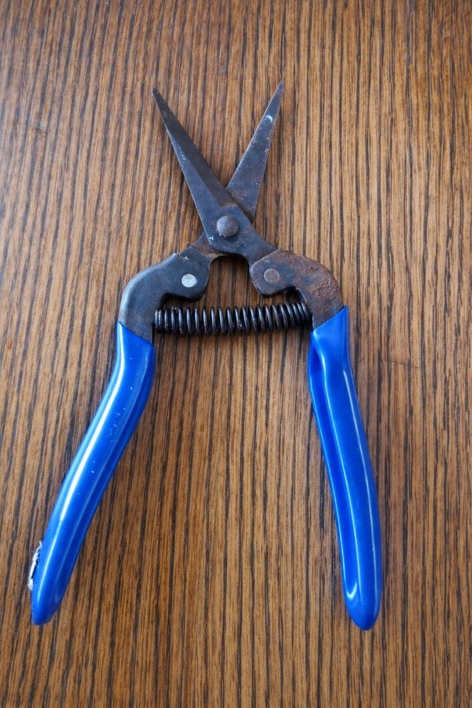 Vintage  Oogstschaar / Fruitschaar (18 cm), Antiek en Kunst, Antiek | Gereedschap en Instrumenten, Ophalen of Verzenden