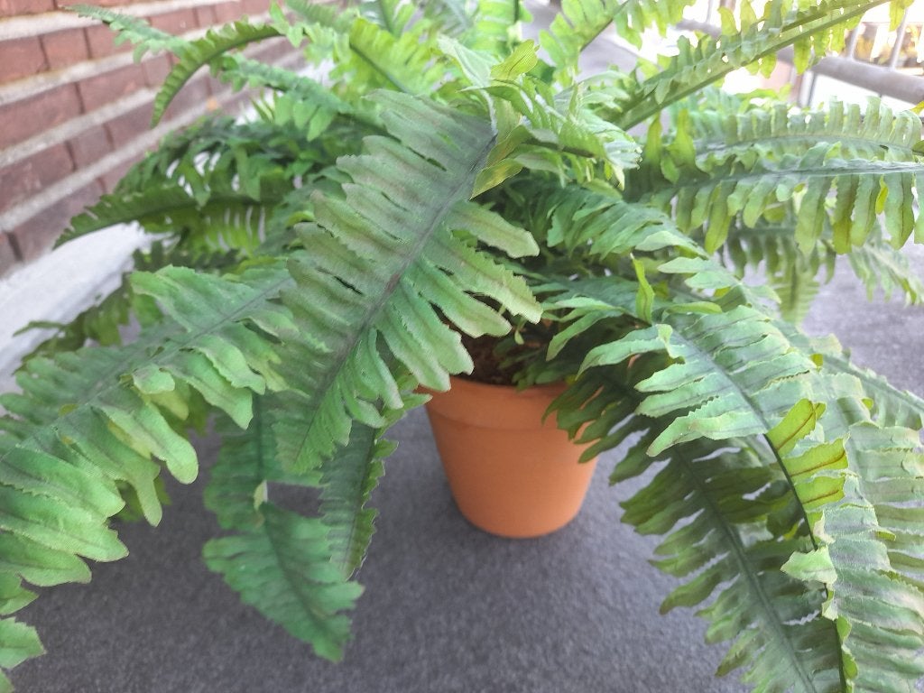 Levensechte Kunstvaren Plant, Ophalen, Binnen, 40 cm, Groen