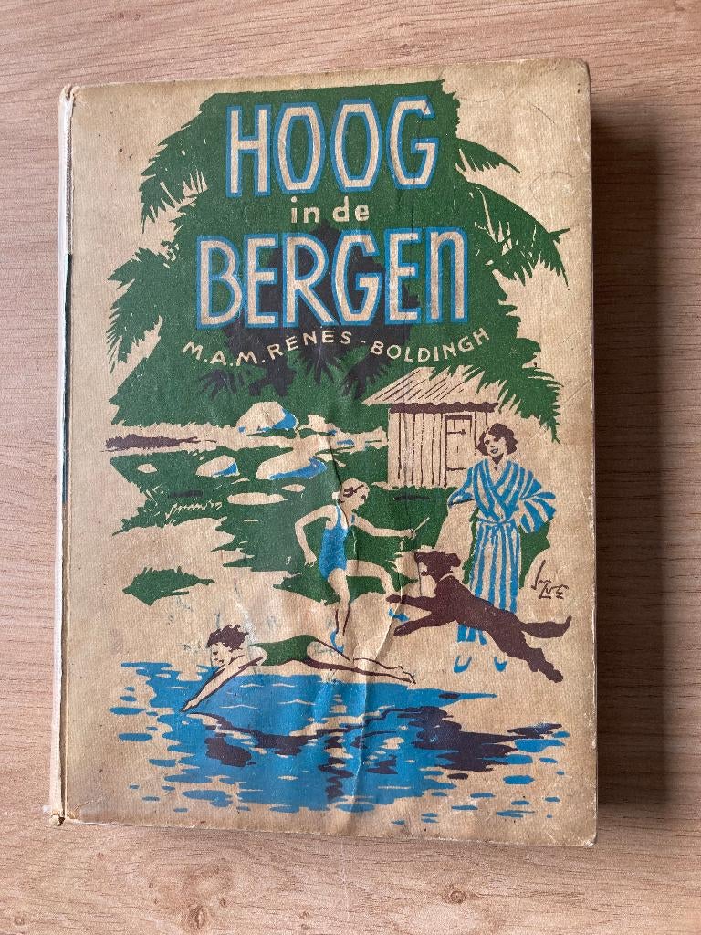 Boek M.A.M. Renes-Boldingh, Boeken, Ophalen of Verzenden, Gelezen