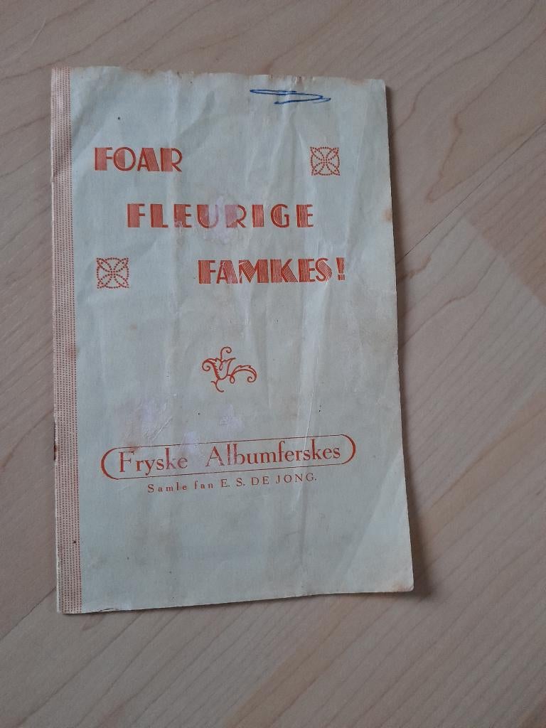 FOAR FLEURIGE FAMKES FRYSKE ALBUMFERSKES samle ES de Jong, Ophalen of Verzenden, Gelezen