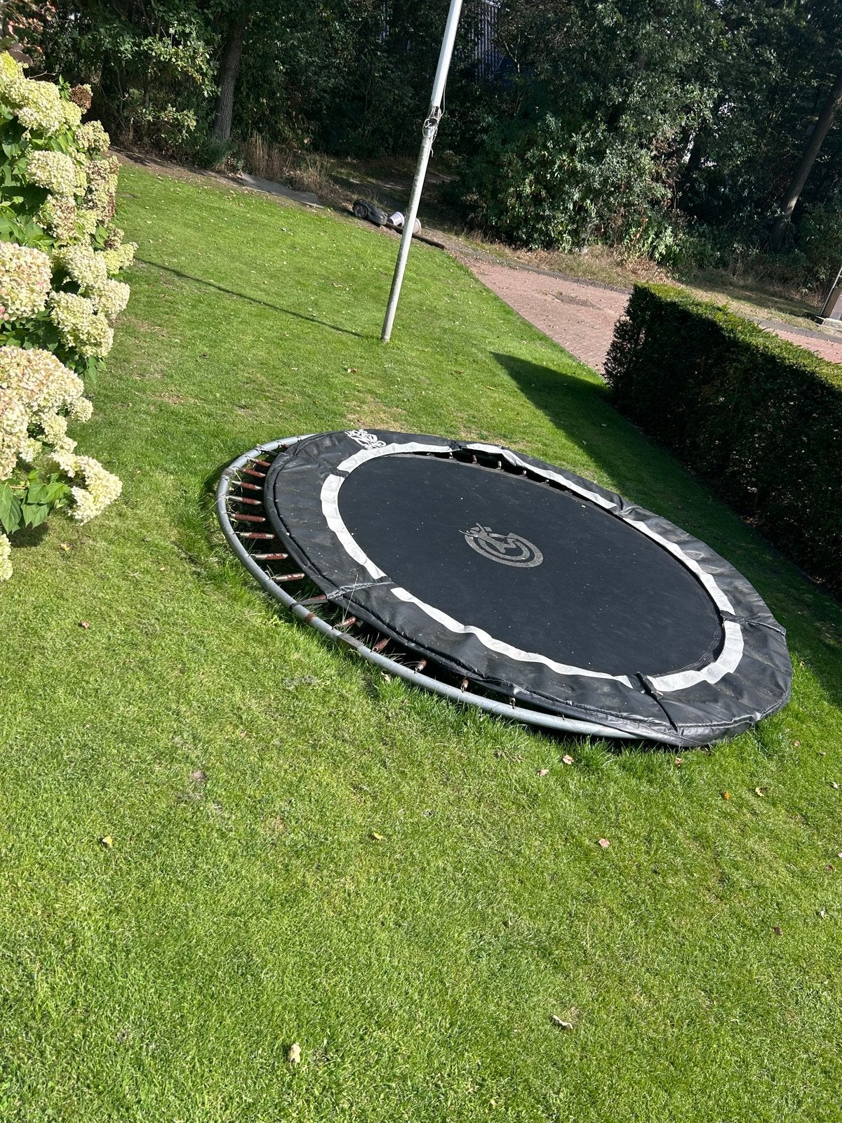 Berg Favorit Trampoline - Gebruikt, Ophalen, Gebruikt