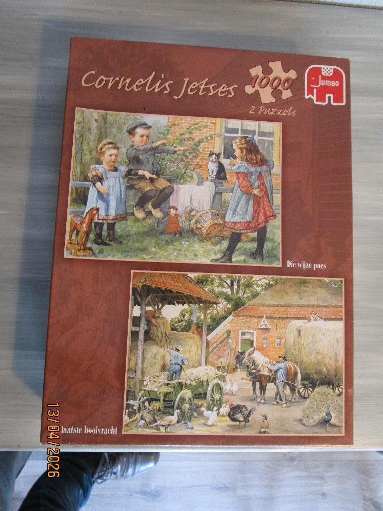 Te Koop Cornelis Jetses puzzel 1000 stukjes, Ophalen, 500 t/m 1500 stukjes, Zo goed als nieuw, Legpuzzel
