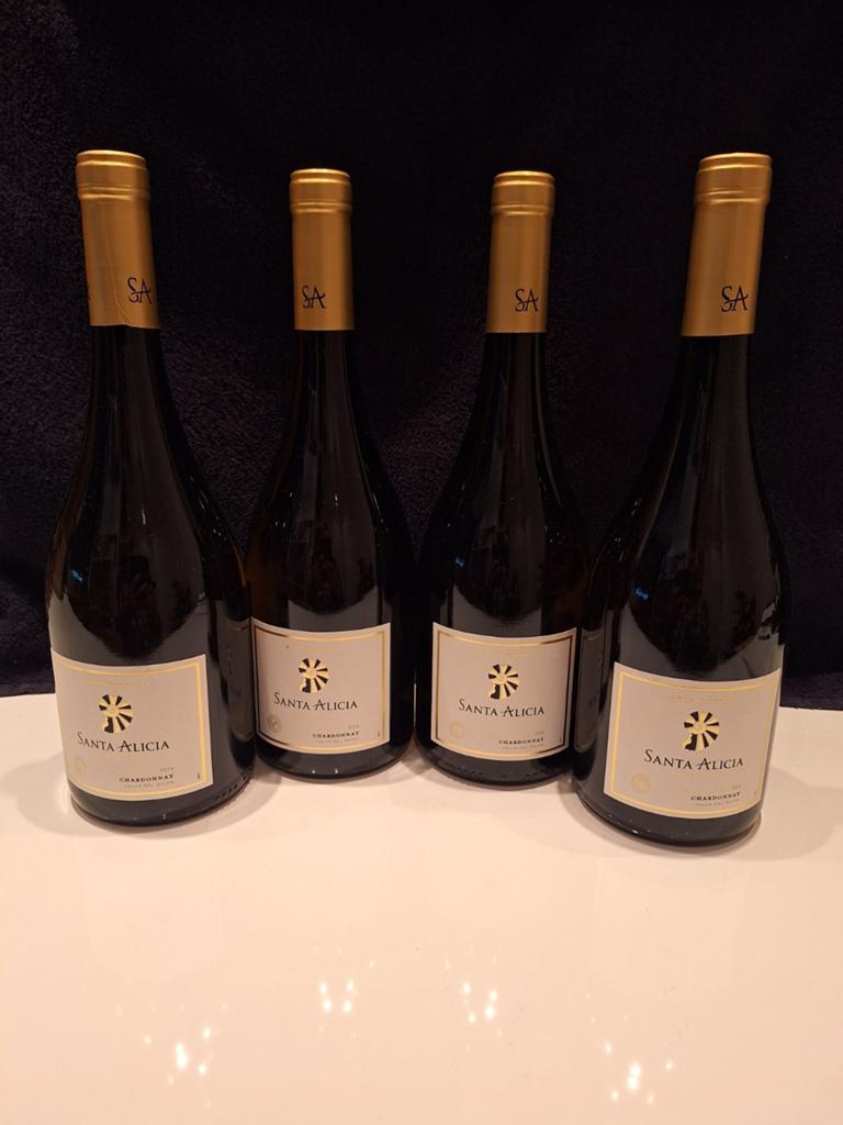 Santa Alicia Gran Reserva Chardonnay 2024 - 4 flessen, Verzamelen, Wijnen, Nieuw, Ophalen of Verzenden, Vol, Zuid-Amerika