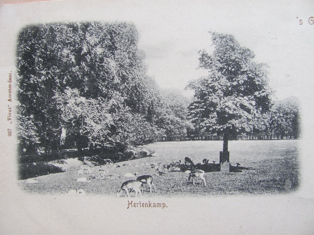 's-Gravenhage 1901 Vivat kaart Hertenkamp, Ophalen of Verzenden, Voor 1920, Gelopen, Zuid-Holland