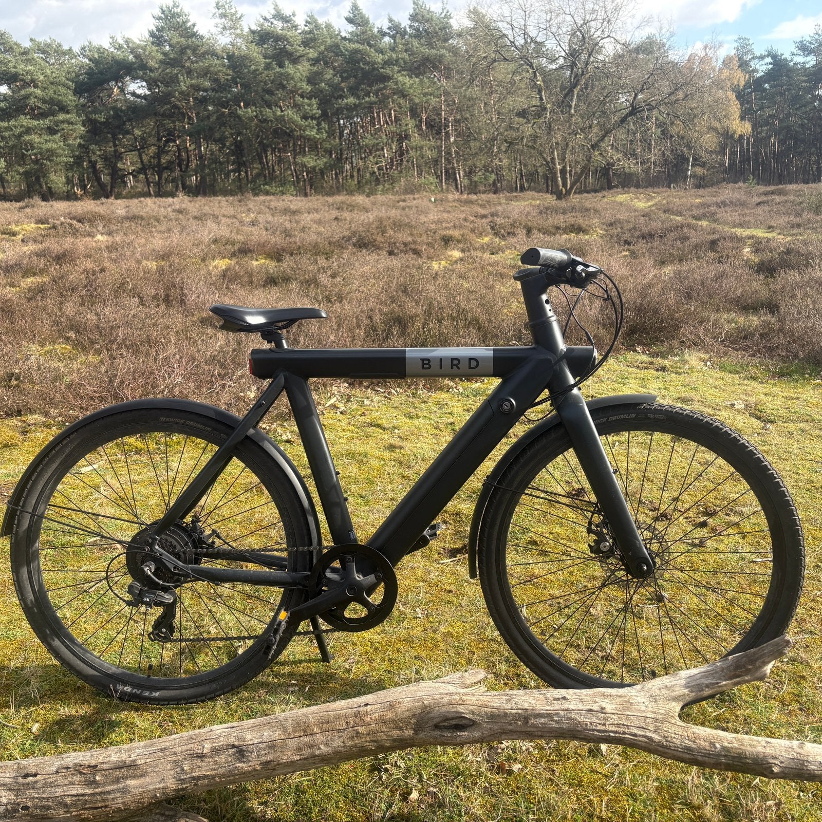 TE KOOP | Bird Bike, Fietsen en Brommers, Elektrische fietsen, Ophalen, Gebruikt, Minder dan 30 km per accu, Overige merken