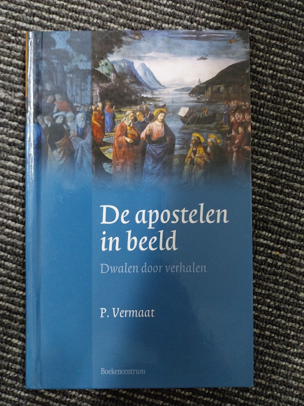 De apostelen in beeld - Dwalen door verhalen - P. Vermaat, Ophalen of Verzenden