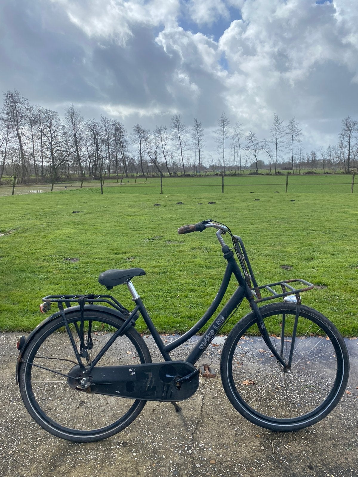 Cortina damesfiets, 56 cm of meer, Ophalen of Verzenden, Gebruikt